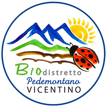 Raccolta dell'uva